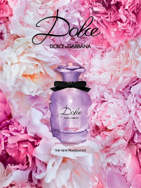 dolce peony perfume for women